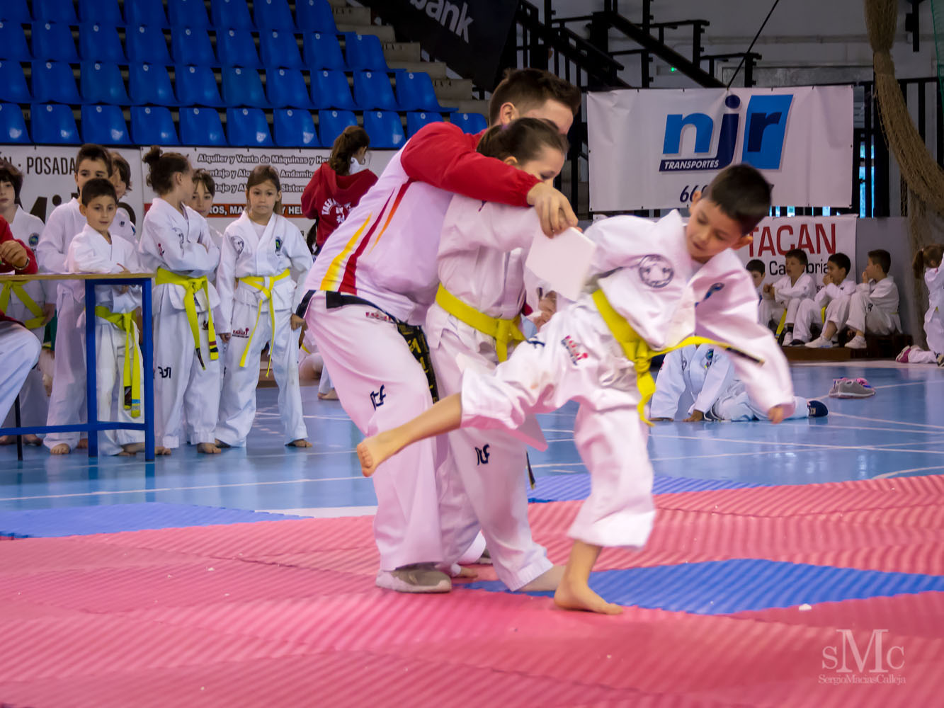 TAEKWONDO CAMPEONATO PAREJAS ABRIL 2018_1975.jpg